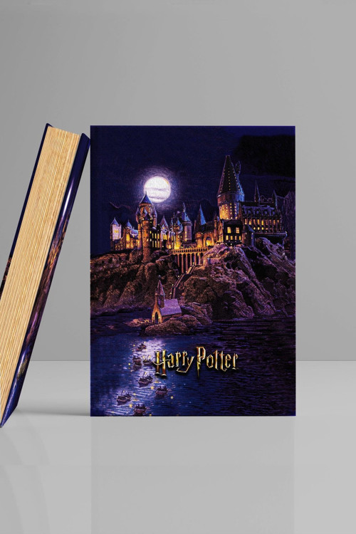 Kitap Görünümlü Dekoratif Kutu Harry Potter 16,5X24,5 Cm Lisanslı Hogwarts Binası