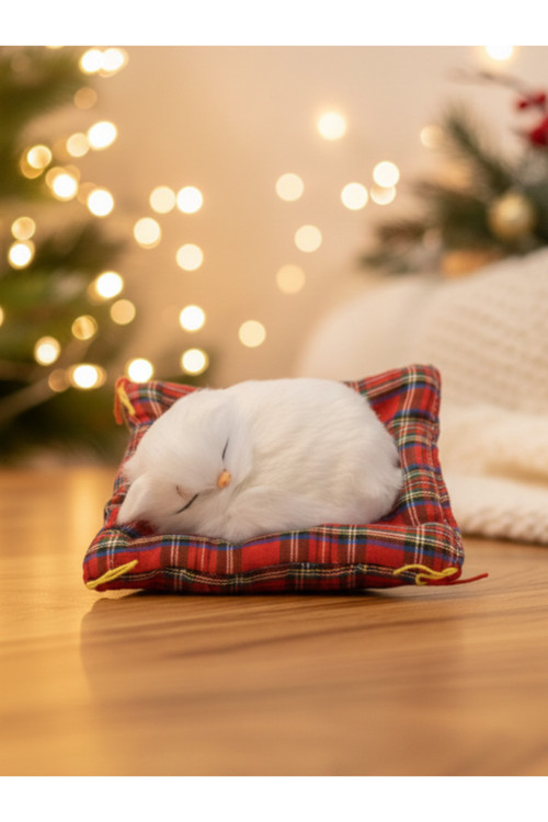Peluş Yavru Kedi Oyuncak Minder Üstünde Uyuyan Kedi Küçük Boy 14 X 11