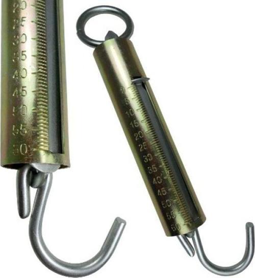 Mekanik El Kantarı 60 kg