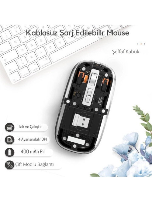 Wireless Mouse (Siyah 501 Bt - Zr1133)