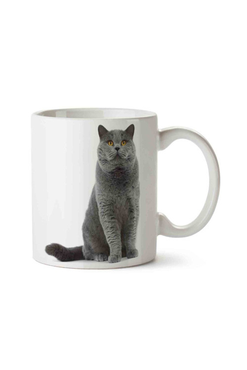 Kedi Seni Seviyorum Love Porselen Kupa Bardak