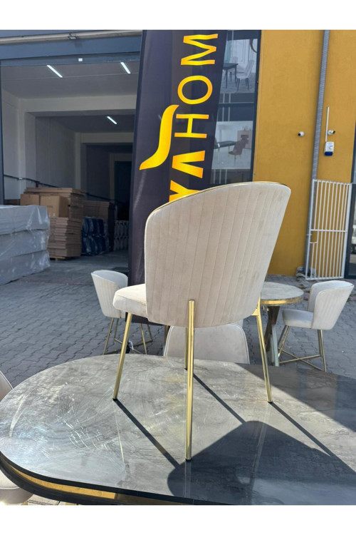 Mutfak Salon Ofis Yemek Masası Sandalyesi (6ADET) Lüx Quality