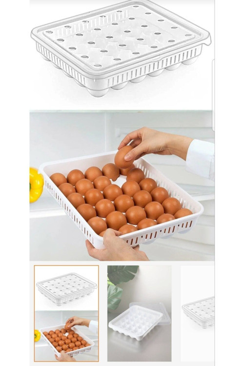 30 Lu Yumurta Organizeri Kapaklı Steril Yumurta Saklama Kabı