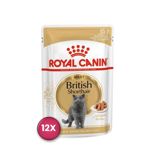 British Shorthair Pouch Yetişkin Kedi Konservesi 85 gr x 12 Adet