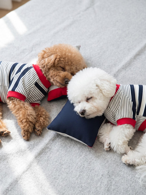 Yacht Club Marin Çizgili Köpek Uyku Takımı | Lacivert Kırmızı Pamuklu Köpek Tulumu ve Mini Yastık | Küçük Irklar İçin