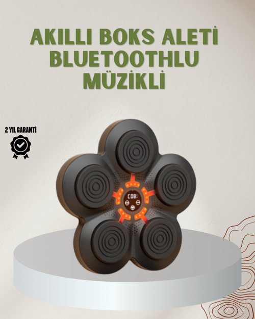 ASTRALTECH Bluetoothlu Akıllı Boks Antrenman Cihazı Işıklı Hedefli Kardiyo ve Fitness Aleti