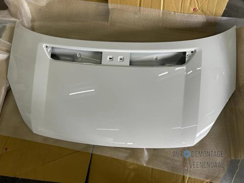 Motor Kaputu Crafter 2006-16 (Oem No:2E1823033A)