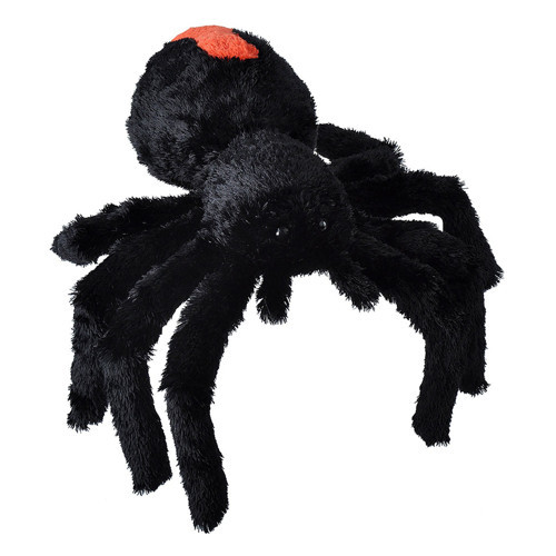 Kırmızı Sırtlı Örümcek (Karadul) 30 cm 23088