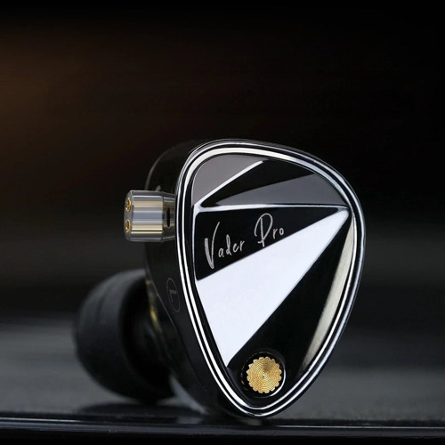 Vader Pro Profesyonel IEM Kulaklık: Ayarlanabilir Ses Filtreli, Gümüş Kaplama Kablolu Hi-Res Audio (MİKROFONSUZ)