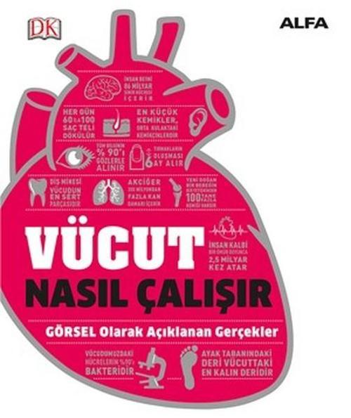 Vücut Nasıl Çalışır?