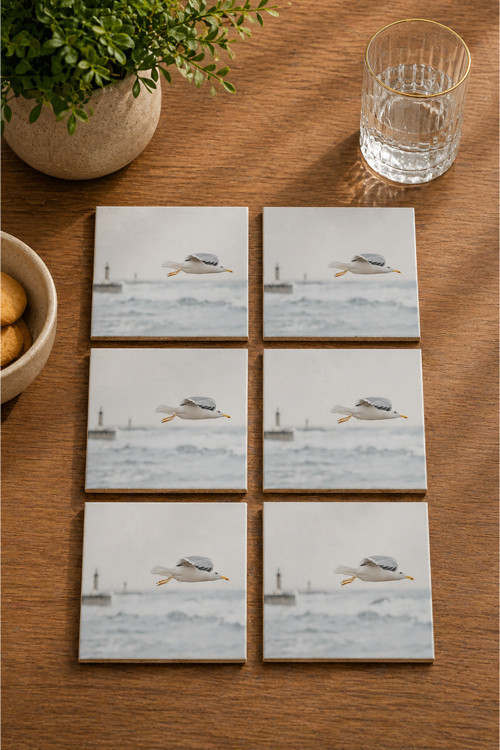 Soyut Doğa Martı Kuşu Manzara Temalı 6’Lı Set Bardak Altlığı - Uv Baskı Mdf - 10X10 Cm