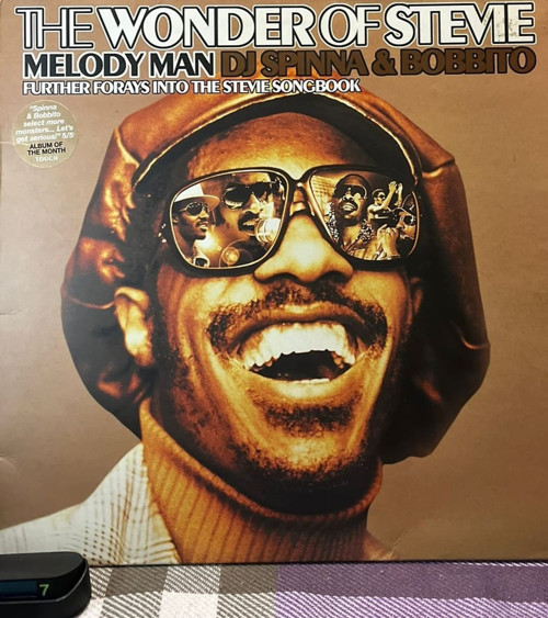 DJ Spinna & Bobbito – The Wonder Of Stevie (Melody Man: Further Forays Into The Stevie Songbook)