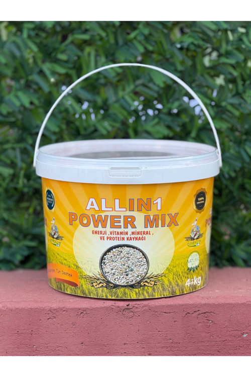 Allın 1 Power Mıx Mineral 4 Kg