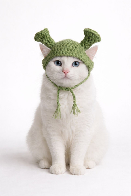 Shrek Temalı El Yapımı Örgü Pet Şapkası – Ayarlanabilir Bağcıklı Yeşil Kedi ve Köpek Aksesuarı
