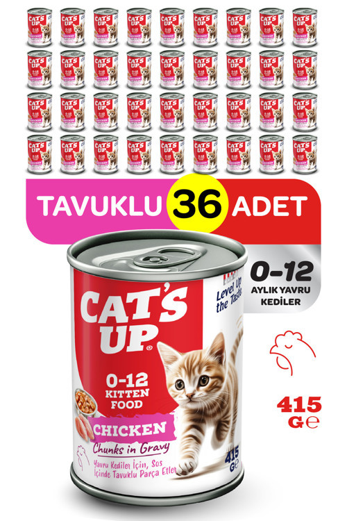 Cats Up Yaş Yavru Kedi Maması Tavuklu 415gr 36Lı