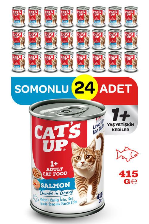 Cats Up Yaş Yetişkin Kedi Maması Somonlu 415gr 24Lü