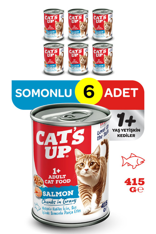 Cats Up Yaş Yetişkin Kedi Maması Somonlu 415gr 6Lı