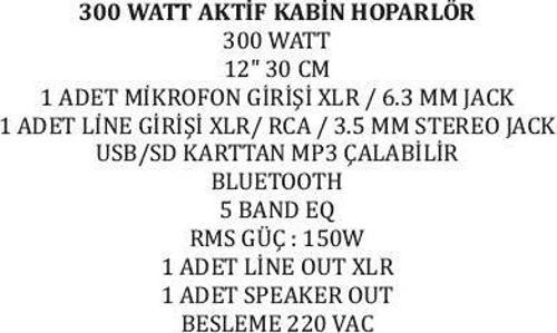 30 CM 300 WATT 12 AKTİF KABİN HOPARLÖR 