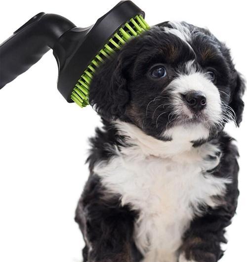Süpürgeye Takılan Kedi Köpek Tarama - Tüy Alma Fırçası 