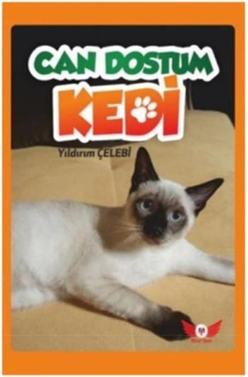 Can Dostum Kedi