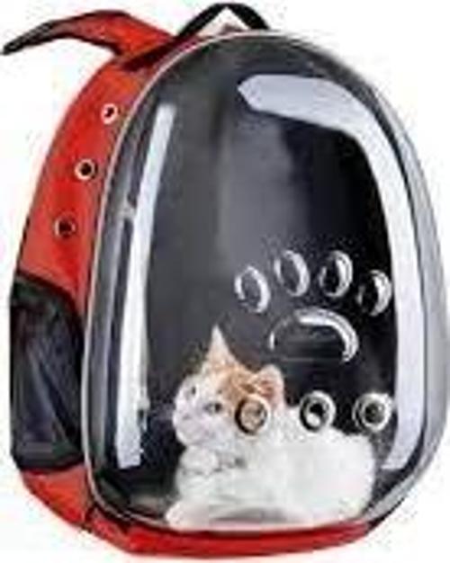 ASTRONOT ÇATNTA