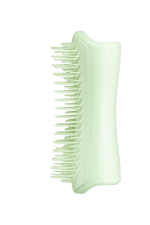 Pet Puppy Brush Grooming Green Köpek Bakım Fırçası
