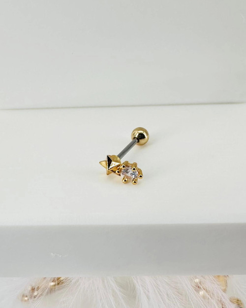 Tragus Kıkırdak Küpesi