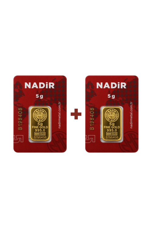 24 Ayar 10 Gram Külçe Altın (2 Adet 5 Gram Külçe Altın )