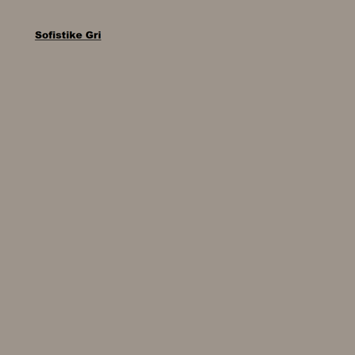 Maximum Sil. İpek Mat İç Cephe Boyası Sofistike Gri 2,5L