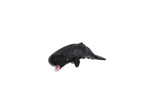 A8155-Bs007 Deni̇z Hayvanlari 12