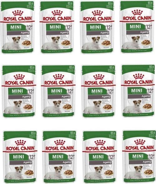 Mini Ageing + 12 Köpek Yaş Mama 85 Gr X 12 Adet