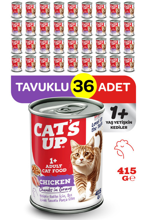 Cats Up Yaş Yetişkin Kedi Maması Tavuklu 415gr 36Lı