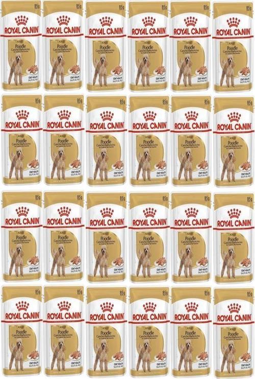 Adult Poodle Caniche Tüy Sagligi Destekleyici Yetiskin Köpek Konservesi 85gr 24 Adet