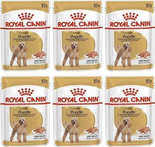 Adult Poodle Caniche Tüy Sagligi Destekleyici Yetiskin Köpek Konservesi 85gr 6 Adet