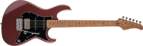 G250SEWB ELEKTRO GİTAR, BORDO