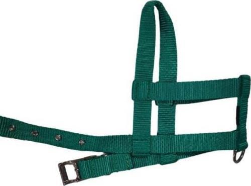 Lovely Ayarlanır Köpek Göğüs Tasması 2cm 5-17 Kg Aralığındaki Köpeklere Açık Yeşil