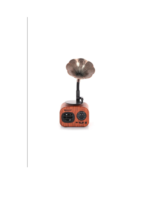 Gramafon Bluetooth Hoparlör