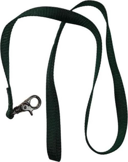 Lovely Kedi Köpek Şerit Gezdirme Kayışı Yeşil 1,5cm - 120cm
