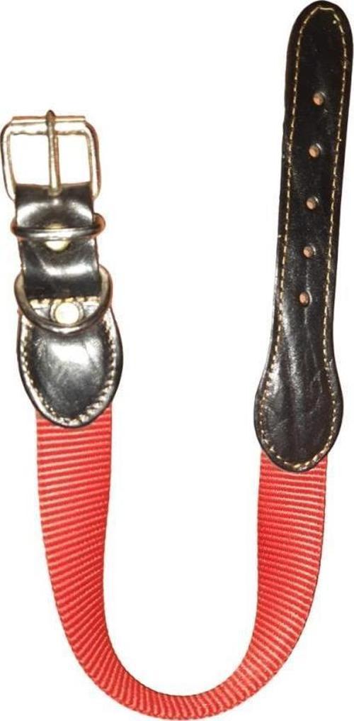 Lovely Köpek Boyun Tasma 2,5cm-56cm KIRMIZI