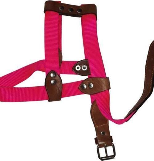 Lovely Ayarlanır Köpek Göğüs Tasması 2,5cm 10-20 Kg Aralığındaki Köpeklere PEMBE
