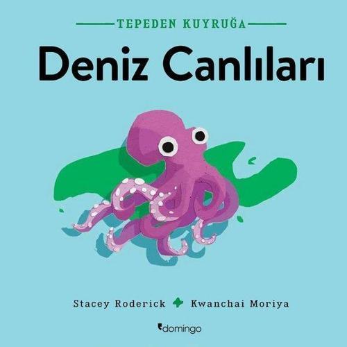 Tepeden Kuyruğa-Deniz Canlıları