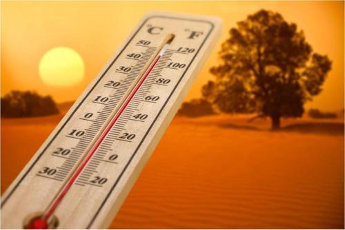 Büyük Ahşap Termometre 5-25 cm Oda Sıcaklığı Ve Sıcaklık Ölçme Termometresi Civalı Duvar Askılı Termometre