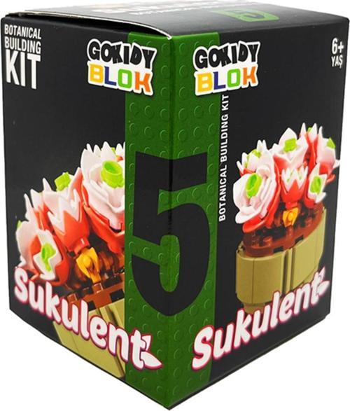 Blok Sukulent Serisi - 5