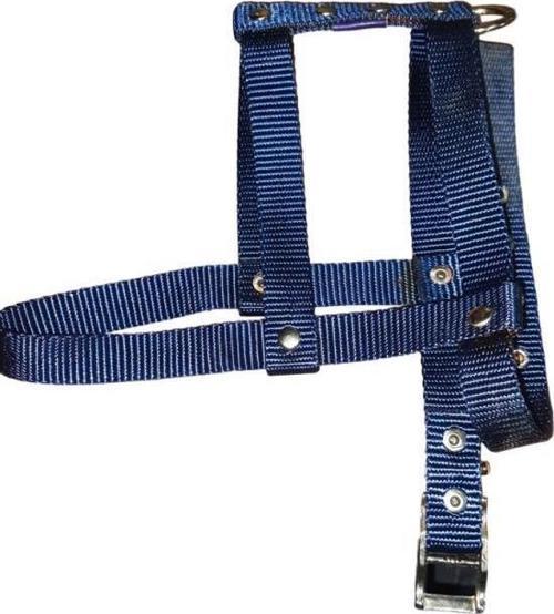 Lovely Ayarlanır Köpek Göğüs Tasması 2cm 5-17 Kg Aralığındaki Köpeklere LACİVERT