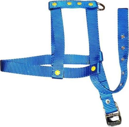 Lovely Ayarlanır Köpek Göğüs Tasması 2cm 5-17 Kg Aralığındaki Köpeklere MAVİ