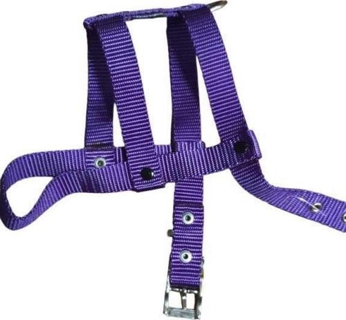 Lovely Ayarlanır Köpek Göğüs Tasması 2cm 5-17 Kg Aralığındaki Köpeklere MOR