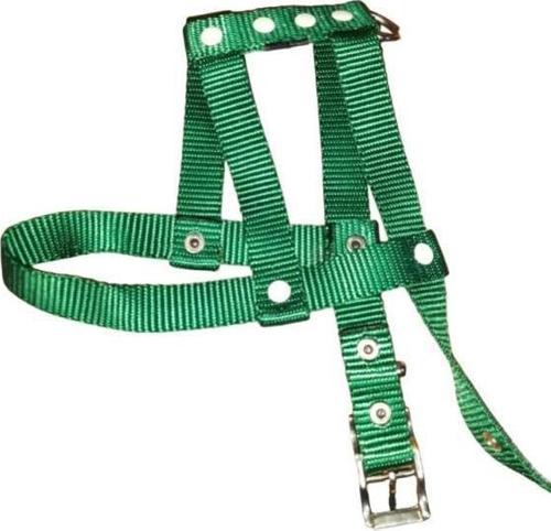 Lovely Ayarlanır Köpek Göğüs Tasması 2cm 5-17 Kg Aralığındaki Köpeklere YEŞİL