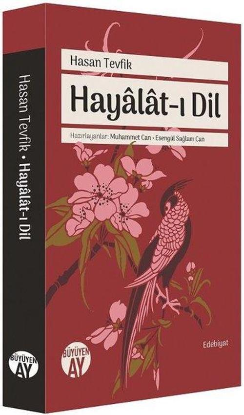 Büyüyenay Yayınları Hayalat-ı Dil