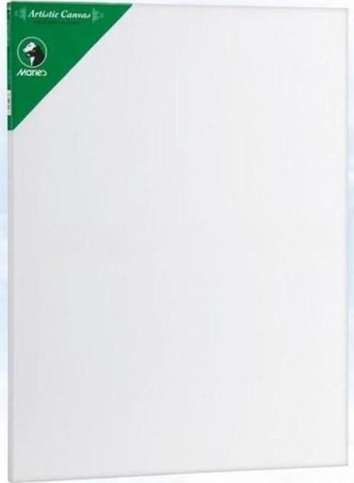 Tual Canvas 50X70 Cm Tuval E5309