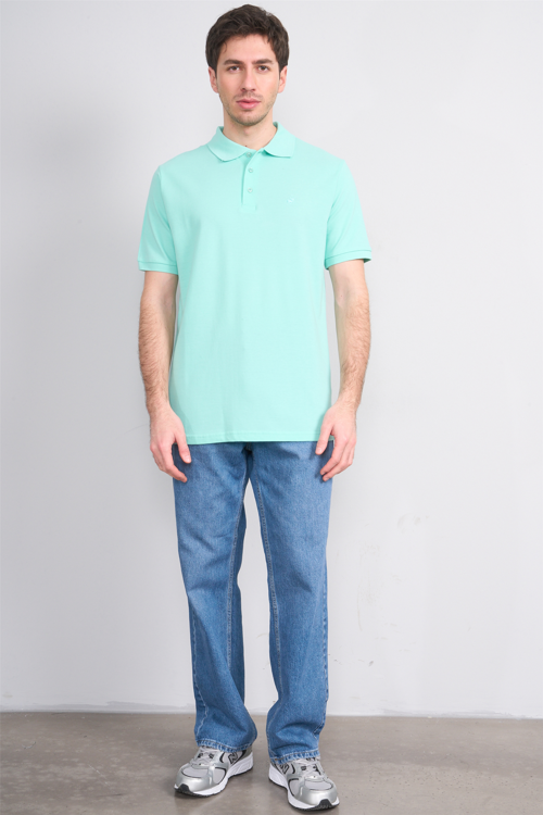 Çetinkaya Chester Polo 2742 Polo Yaka Regular Pike T-shirt Mint